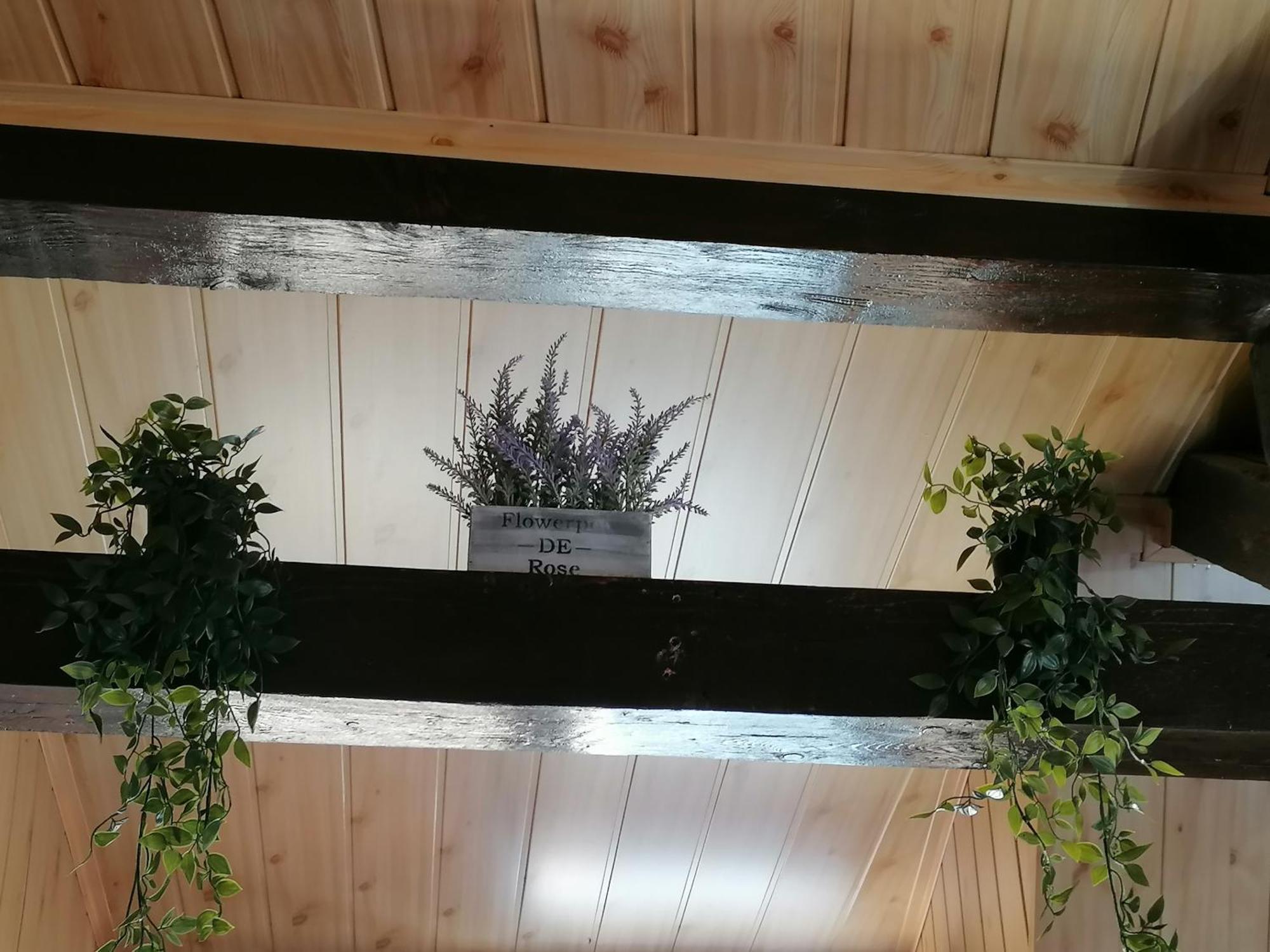 Apartment Cozy Attic Brasov